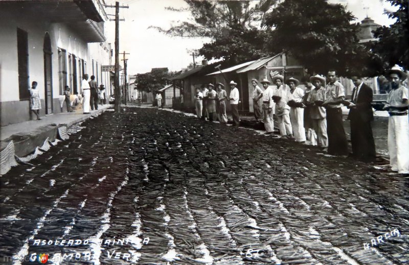 Asoleando La Vainilla.