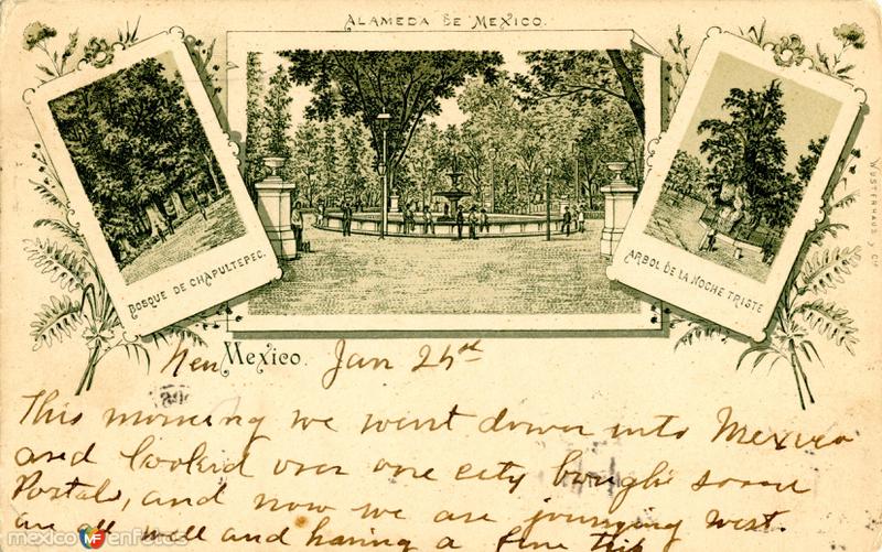 Postal antigua de fines del Siglo XIX (Chapultepec, Alameda y Árbol de la Noche Triste)