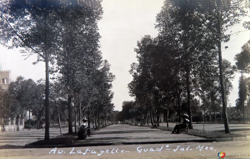 Avenida Lafayette.