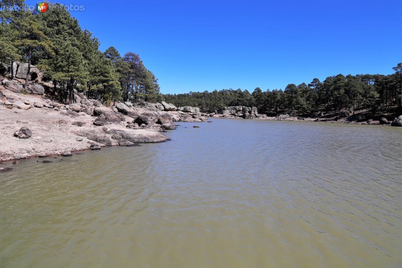 Lago Arareko