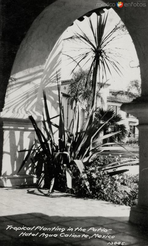 Jardín en el casino de Agua Caliente