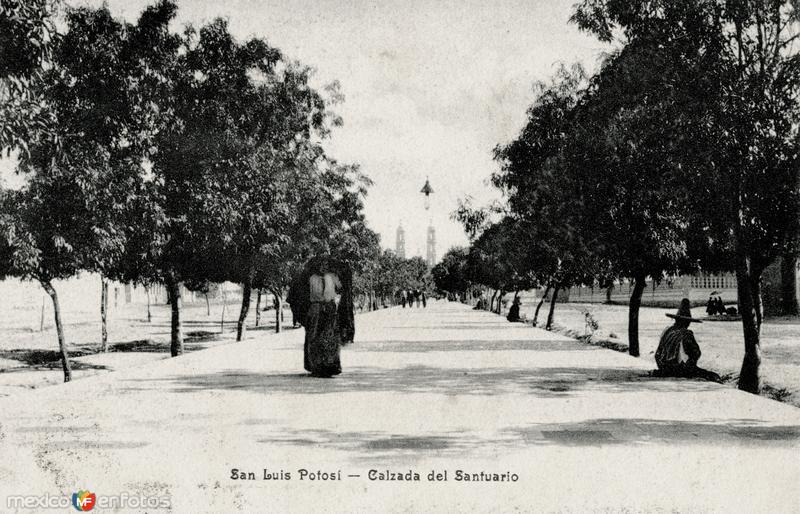 Fotos de San Luis Potosí, San Luis Potosí, México: Calzada del Santuario