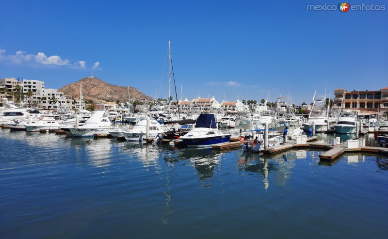 Marina de Cabo San Lucas