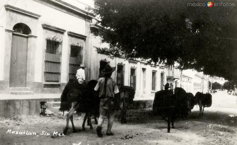 Calles de Mazatlán