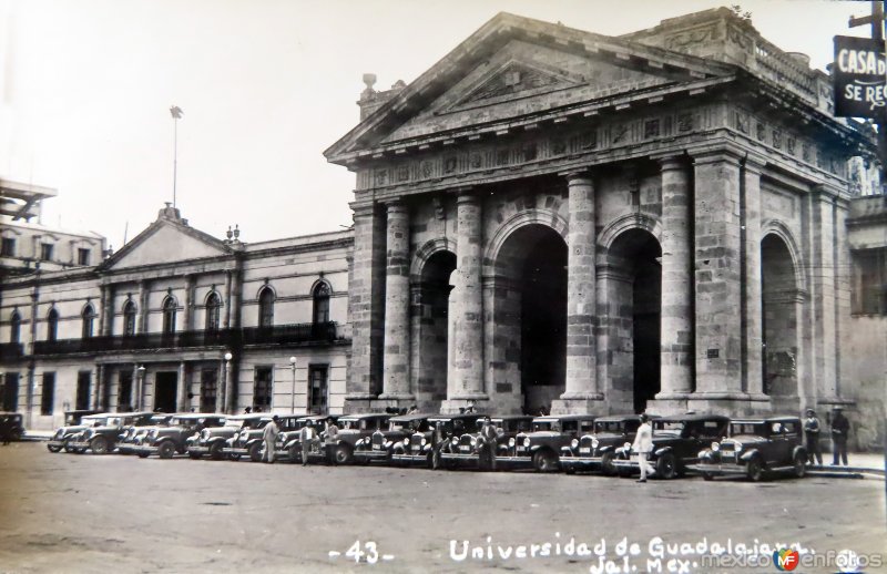 La Universidad