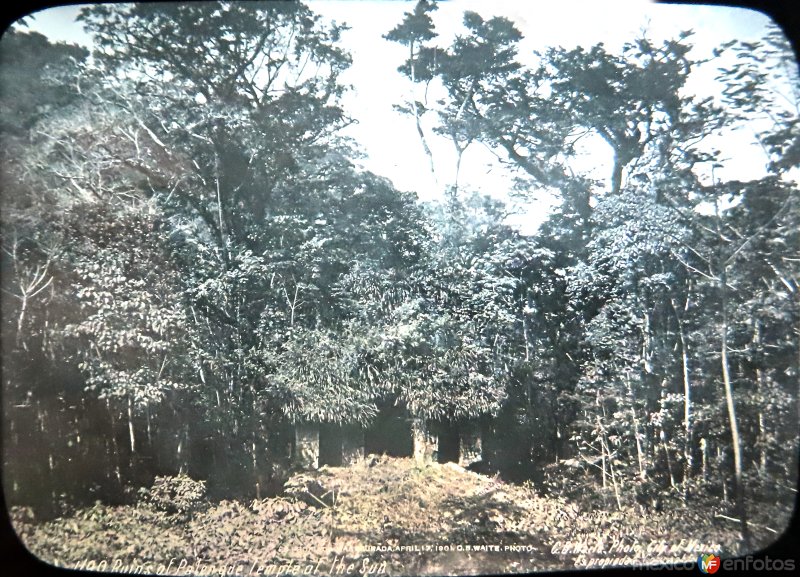 RUINAS ARQUEOLOGICAS de Palenque por el Fotógrafo Charles B, Waite.