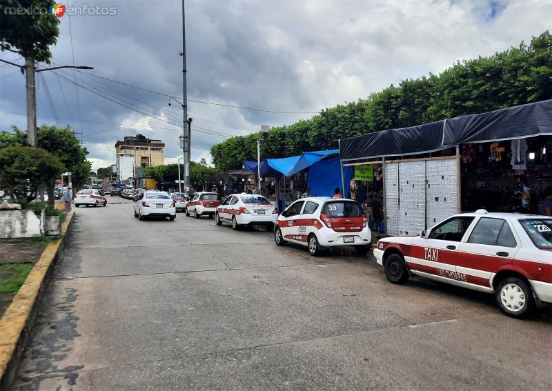 Sitio de taxis, en el centro