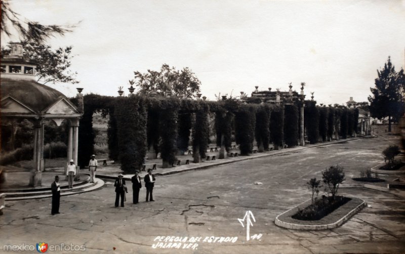 Pergola del estadio.