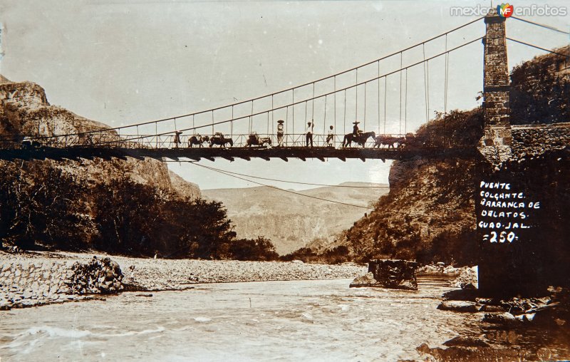 Puente colgante en La barranca de Oblatos.