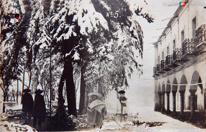 Aspecto de la Nevada acaecida el dia 26 de Enero de 1920 en el parque de los Cedros.