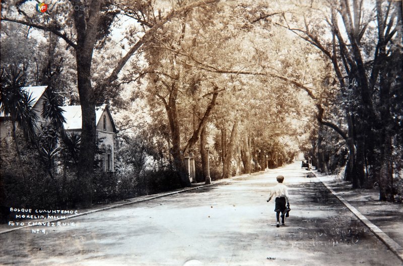 Parque Cuahutemoc ( Circulada el 24 de Junio de 1938 ).