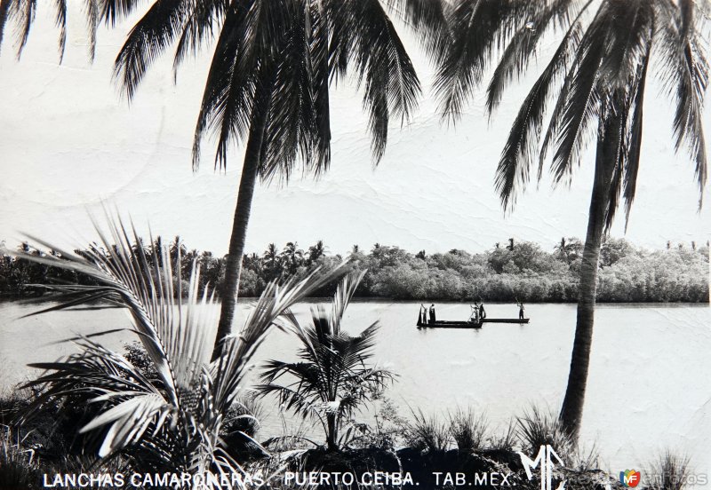 Lanchas camaroneras. ( Circulada el 12 de Enero de 1959 ).