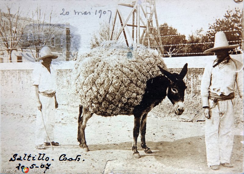 Tipos Mexicanos Vendedores de paja. ( Circulada el 20 de Mayo de 1907 ).