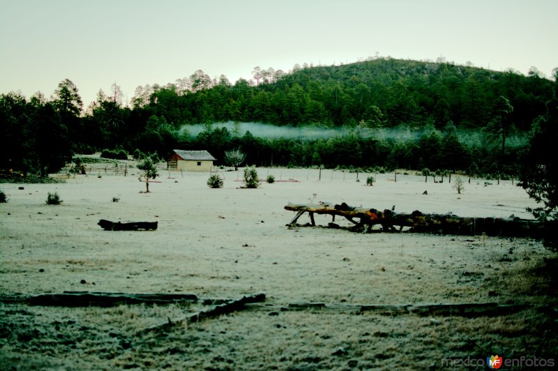 El Maguey, Guanaceví, Dgo.