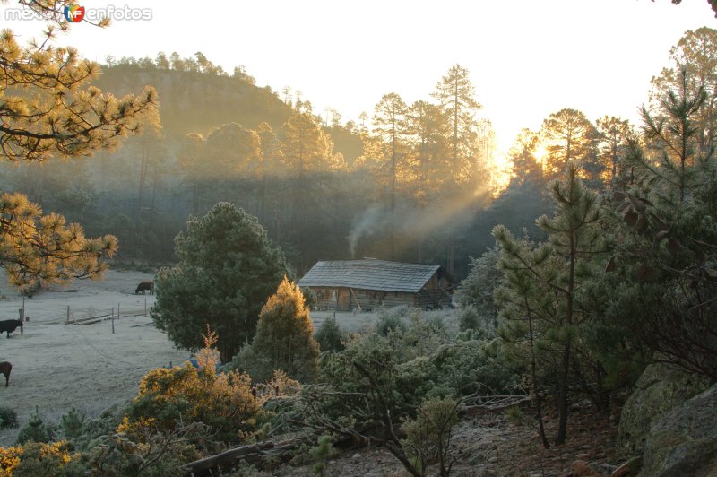 El Maguey, Guanaceví, Dgo.