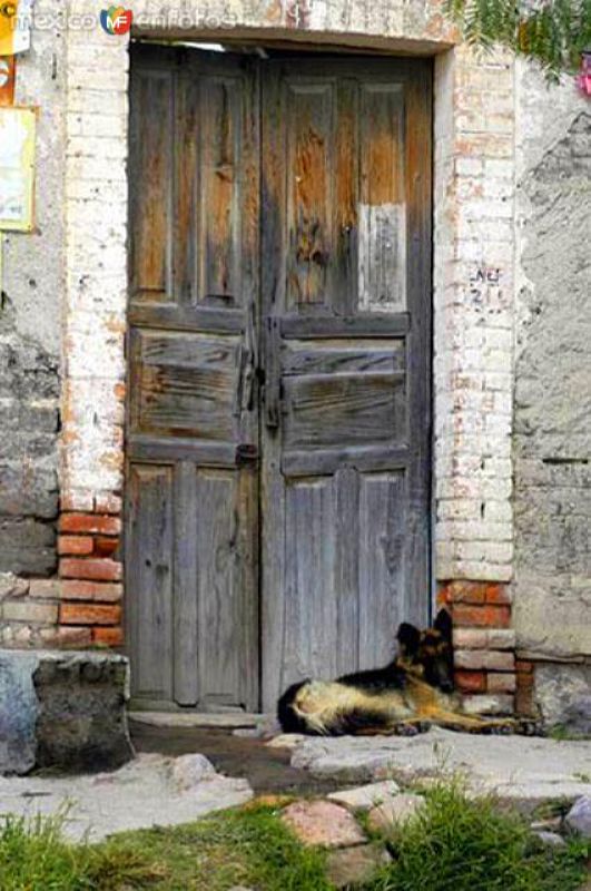 Fotos de Peñuelas, Aguascalientes: Can guardián