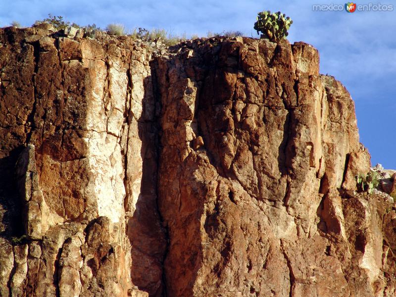 Fotos de Cañón Del Mulato, Chihuahua: Cañón del Mulato