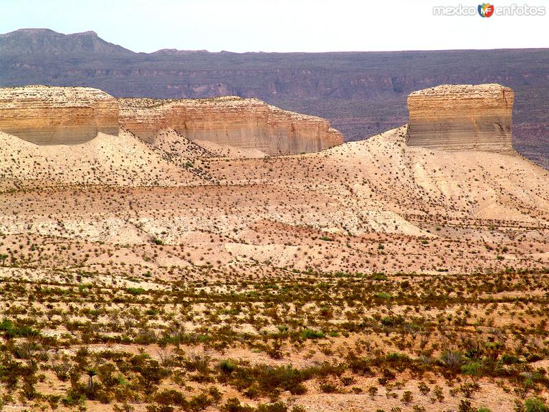 Fotos de Cañón De Santa Elena, Chihuahua: Reserva Protegida Cañón de Santa Elena