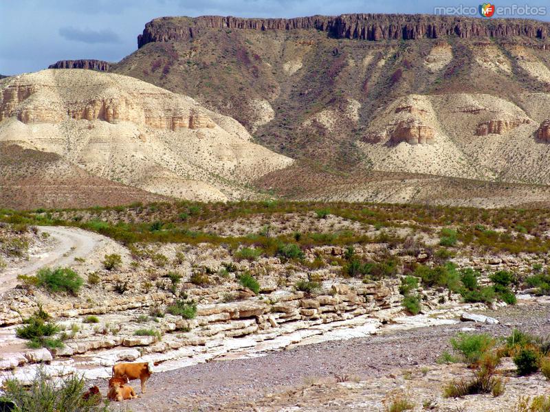 Fotos de Cañón De Santa Elena, Chihuahua: Reserva Protegida Cañón de Santa Elena