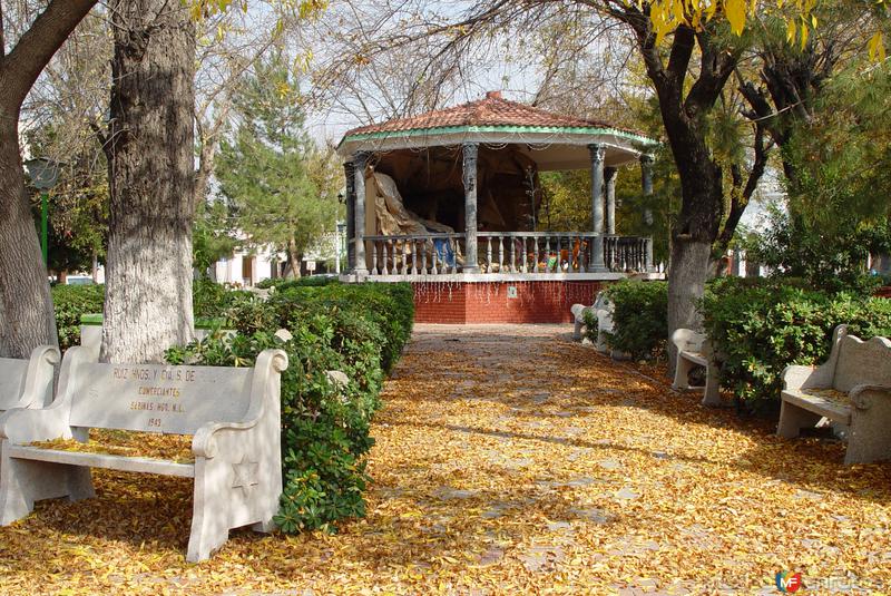 Fotos de Sabinas Hidalgo, Nuevo León: Otoño en la plaza Hidalgo