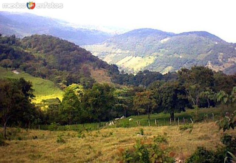 Fotos de Parque Nacional El Potosí, San Luis Potosí: Parque Nacional El Potosí