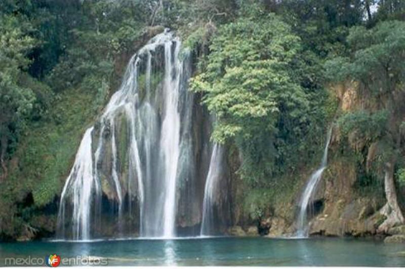 Fotos de Tamasopo, San Luis Potosí: Cascadas de Tamasopo