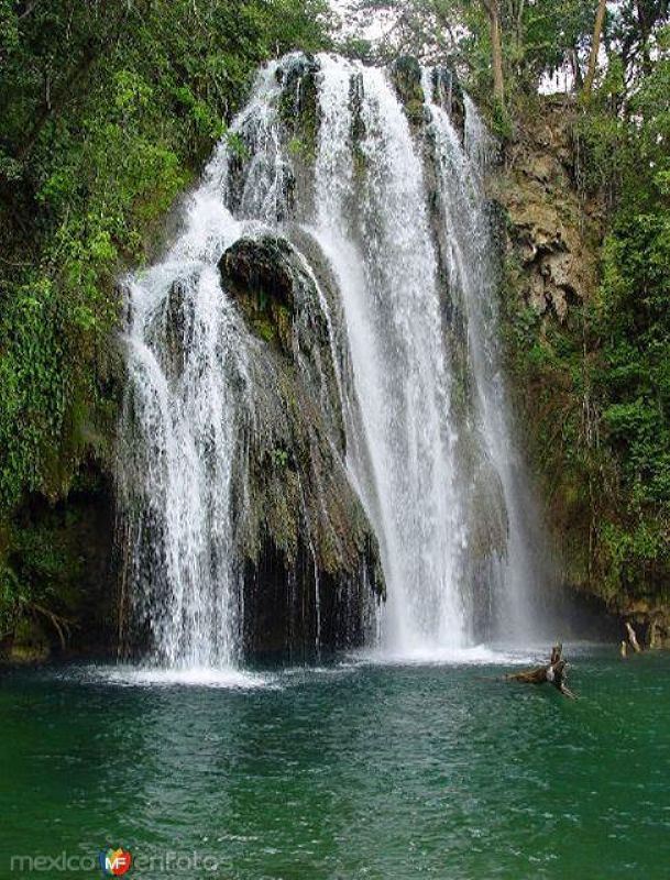 Fotos de Tamasopo, San Luis Potosí: Cascadas de Tamasopo