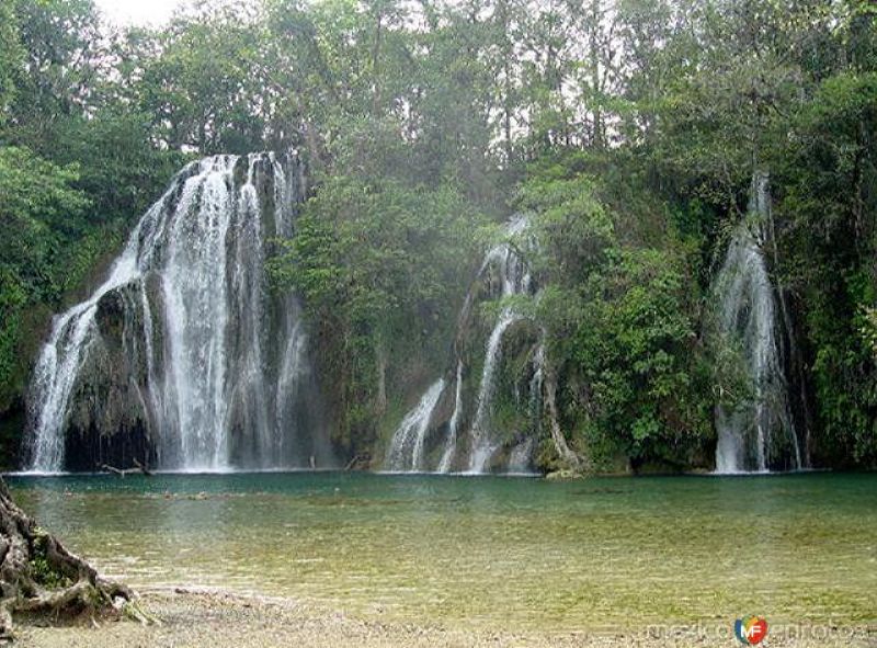 Fotos de Tamasopo, San Luis Potosí: Cascadas de Tamasopo