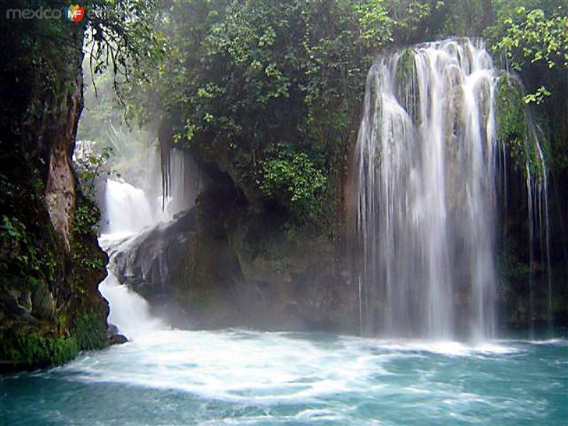 Fotos de Tamasopo, San Luis Potosí: Cascadas de Puente de Dios