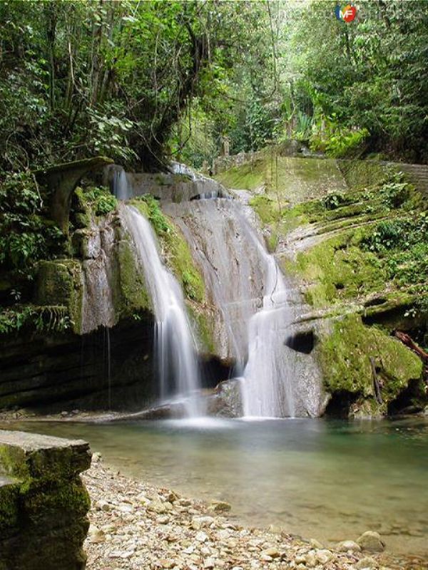 Fotos de Xilitla, San Luis Potosí: Las pozas y la cascada