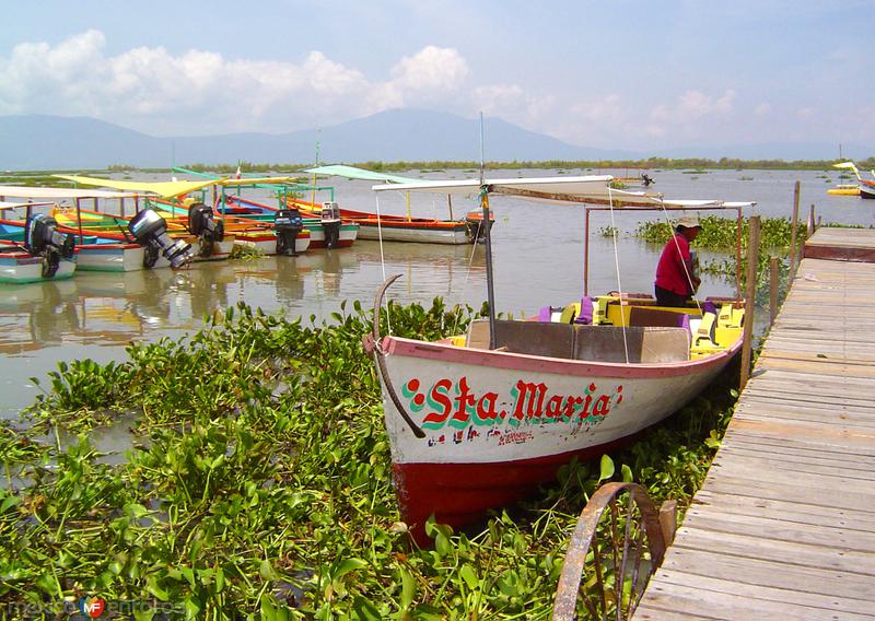 Fotos de Chapala, Jalisco: Lanchas