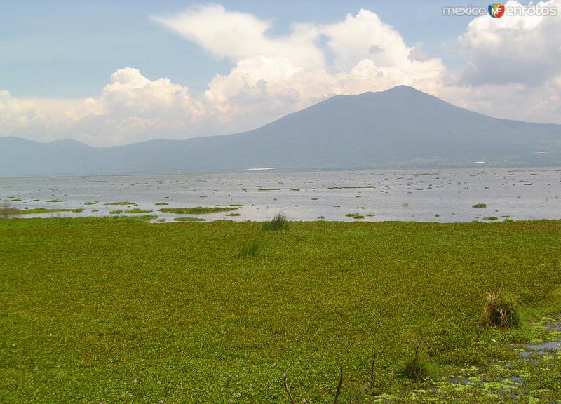 Fotos de Chapala, Jalisco: Lago de Chapala