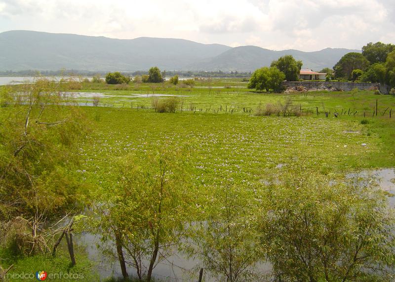 Fotos de Chapala, Jalisco: Lago de Chapala