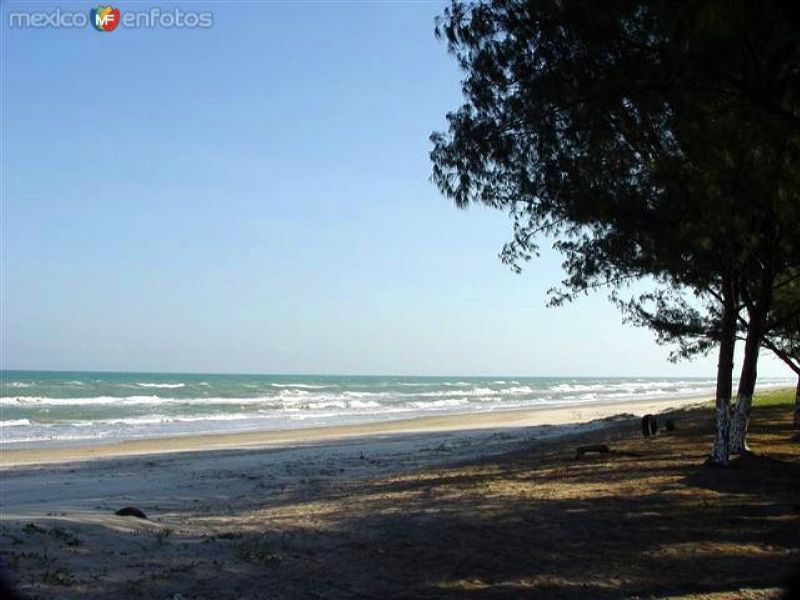 Fotos de Aldama, Tamaulipas: Barra del Tordo