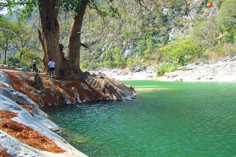 Fotos de Cañón De La Servilleta, Tamaulipas: Rio Comandante