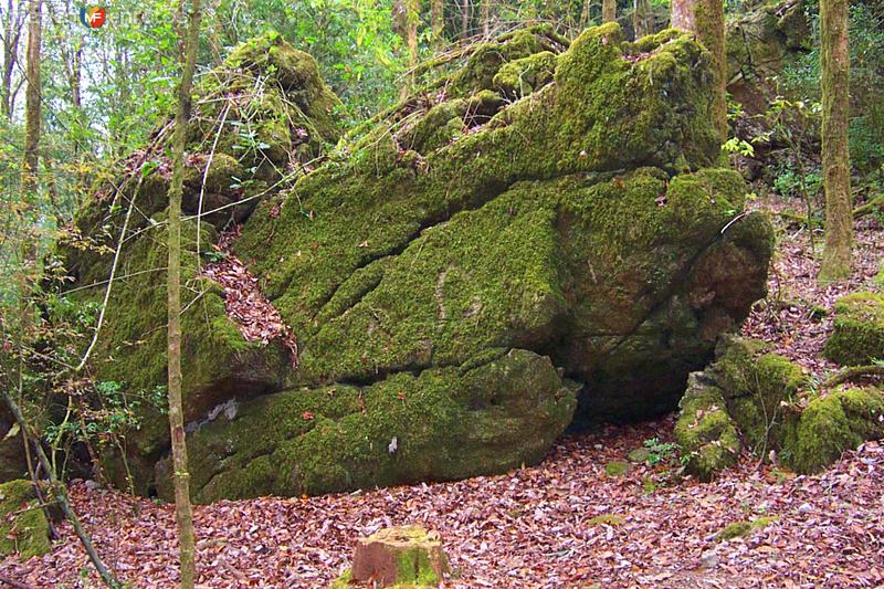 Fotos de Reserva De La Biósfera El Cielo, Tamaulipas: Peña