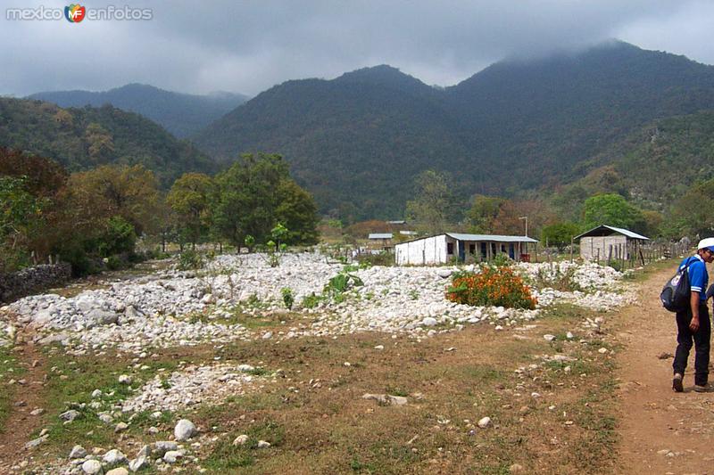 Fotos de Reserva De La Biósfera El Cielo, Tamaulipas: Altacima