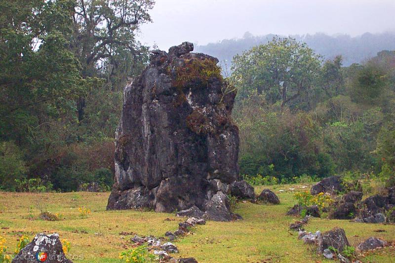 Fotos de Reserva De La Biósfera El Cielo, Tamaulipas: Reserva de la Biósfera El Cielo