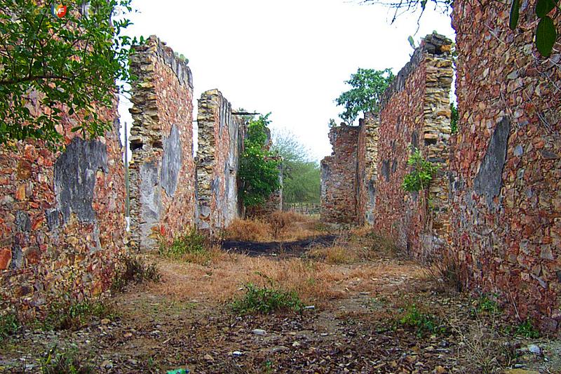 Fotos de Nueva Apolonia, Tamaulipas: Tantoyuquita