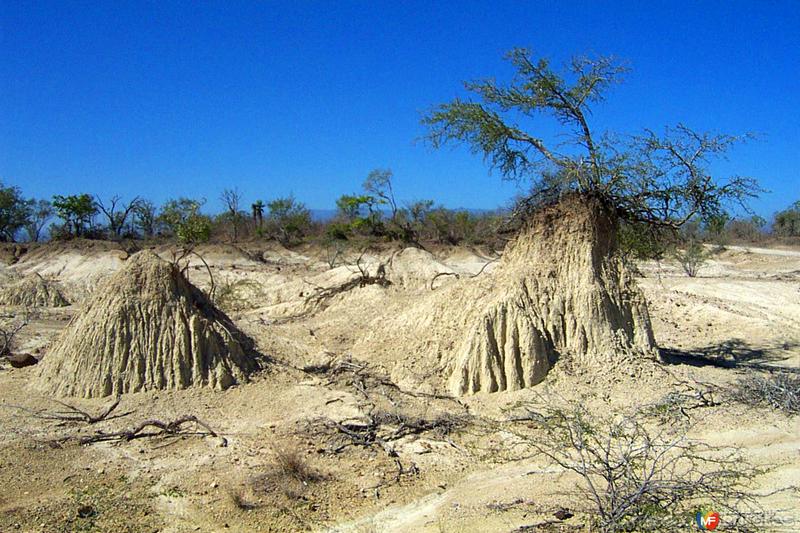 Fotos de Xicoténcatl, Tamaulipas: Valle de los Mamuts