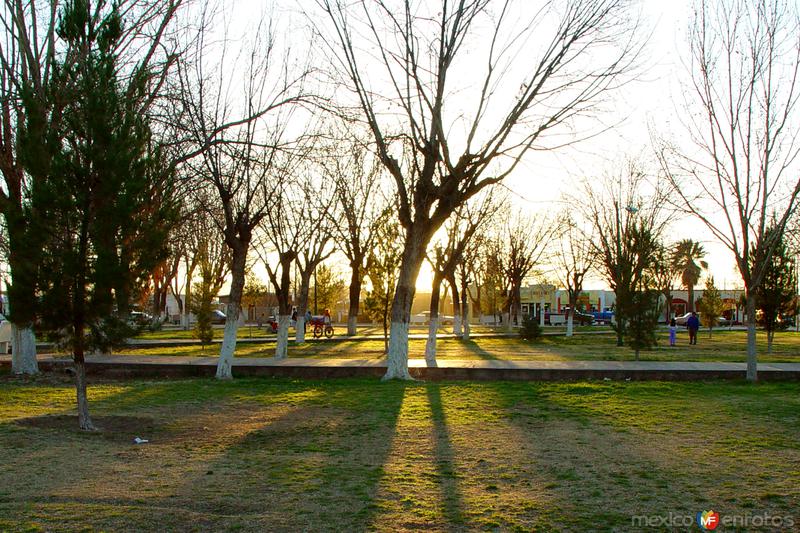 Fotos de Nuevo Casas Grandes, Chihuahua: Plaza Juárez