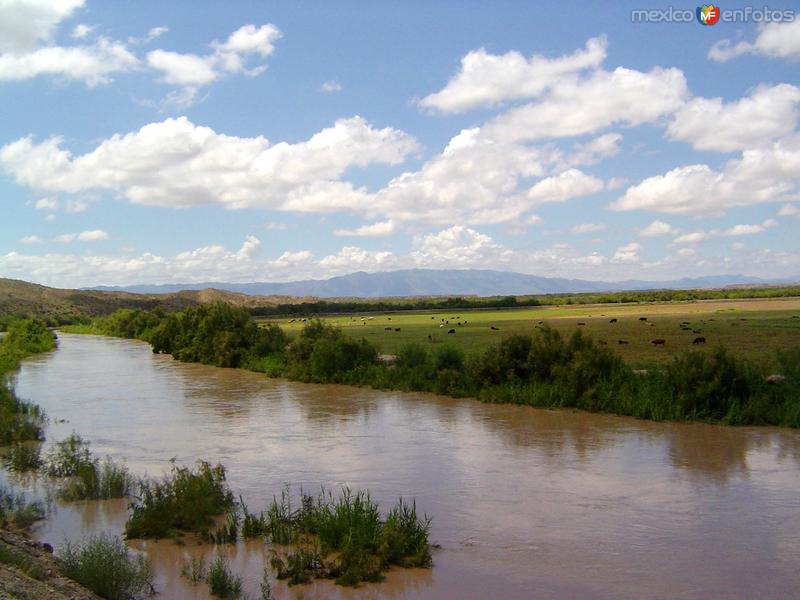 Fotos de Ojinaga, Chihuahua: Río Conchos