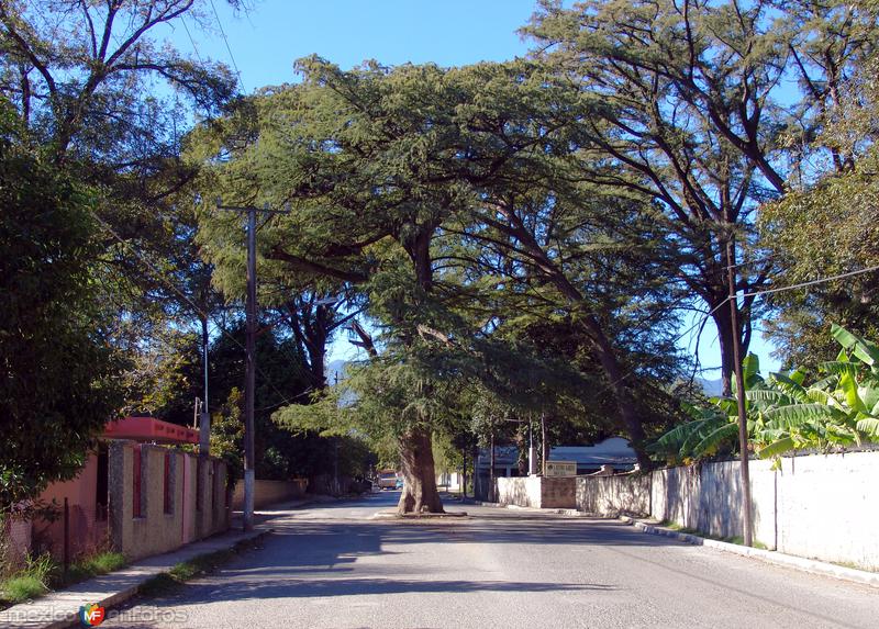 Fotos de Melchor Múzquiz, Coahuila: Calles de Melchor Múzquiz