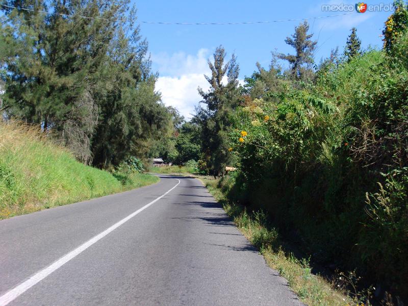 Fotos de Comala, Colima: Carretera al Volcán de Fuego