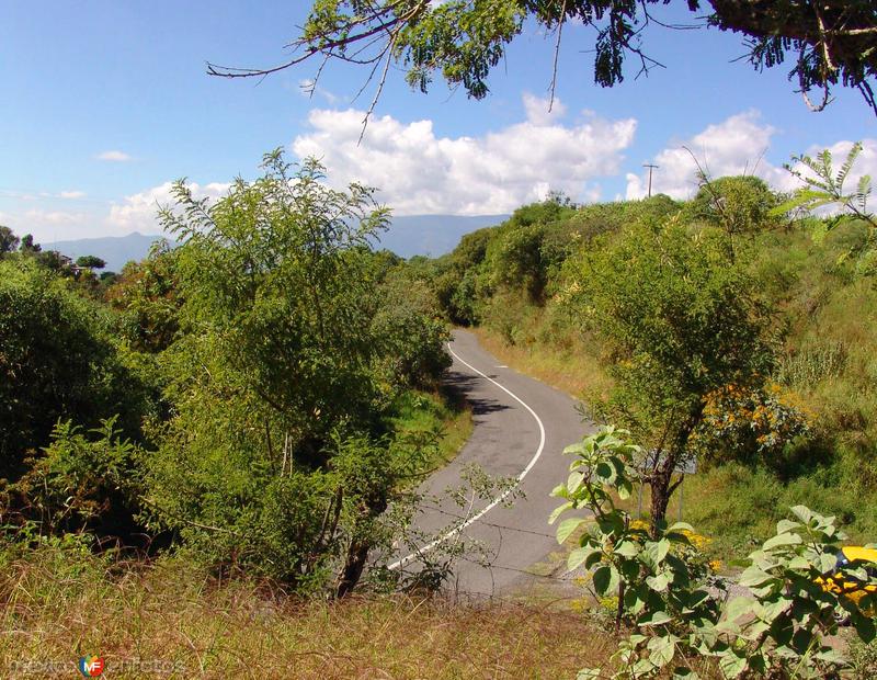 Fotos de Comala, Colima: Carretera al Volcán de Fuego