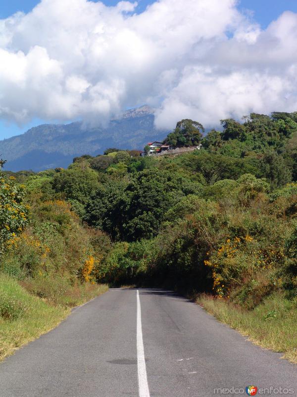 Fotos de Comala, Colima: Carretera al Volcán de Fuego