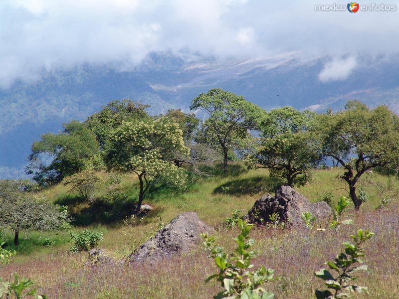 Fotos de Comala, Colima: Rocas volcánicas