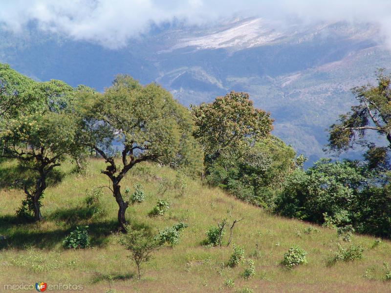 Fotos de Comala, Colima: Paisaje cercas del Volcán de Fuego