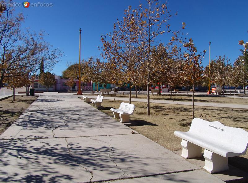 Fotos de Las Nieves, Durango: Plaza Principal de Las Nieves