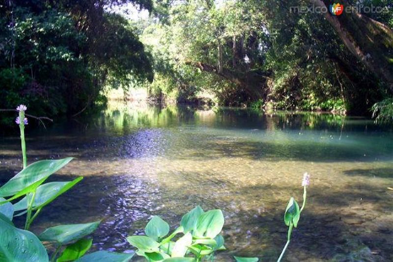 Fotos de Chontla, Veracruz: Paisaje en Tlatemalco